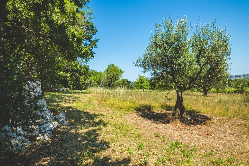Borgo Sardedda Suites Locorotondo Zewnętrze zdjęcie